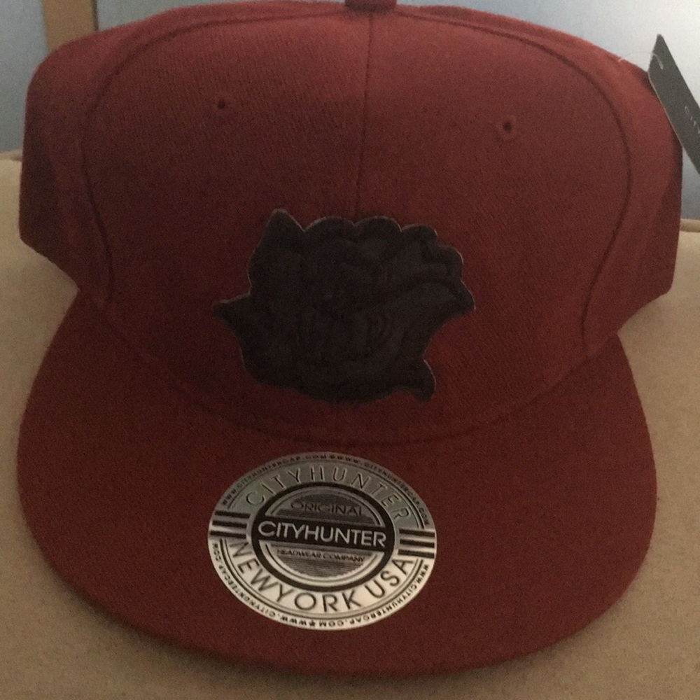Brand new SnapBack